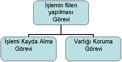 Organization Chart