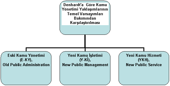 Organization Chart